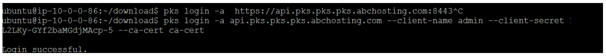 LogIn to PKS CLI as a User